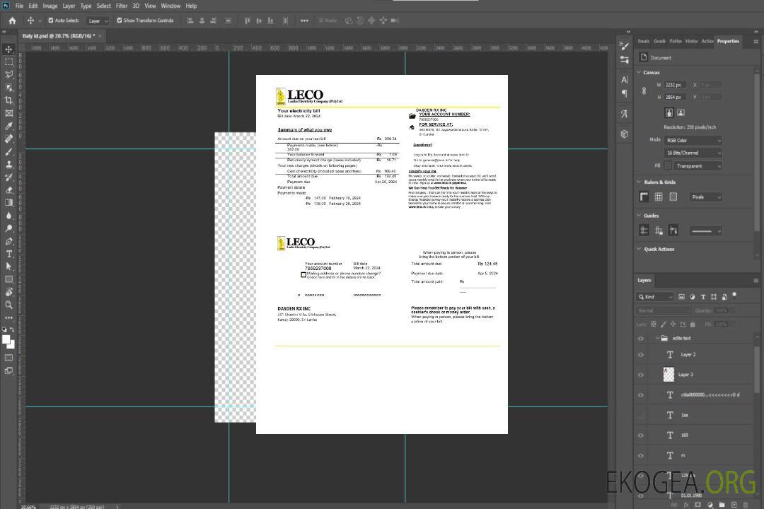 Modèle de facture de services publics d'électricité de la société LECO du Sri Lanka aux formats Word et PDF template